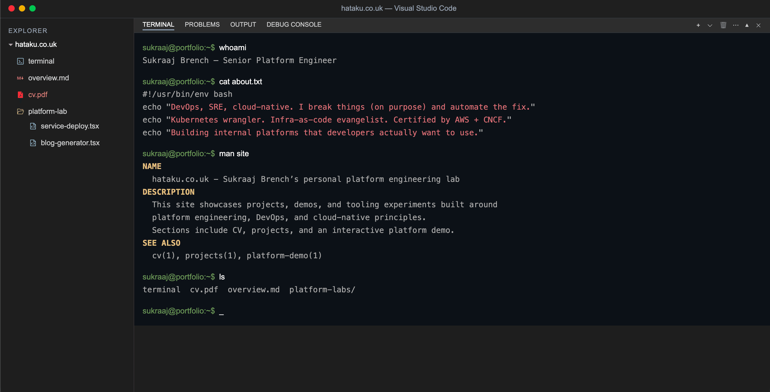 VS Code themed portfolio and platform lab
